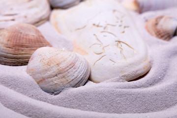 Sand Strand mit Muscheln