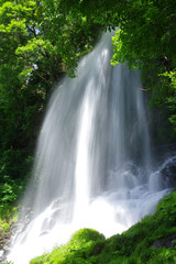 横谷渓谷　乙女滝