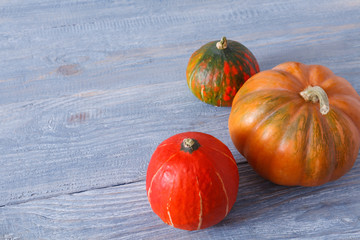 Pumpkins on blue wood background with copy space