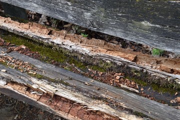morsche und verrottete Holzbank