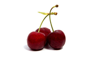 Cherry red  fruit on white background isolated
