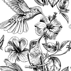Seamless pattern with image of a Hummingbirds with a Hibiscus flowers. Vector illustration. © Afishka
