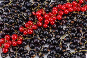 Background of ripe juicy black and red currant berries. top view - horizontal photo.