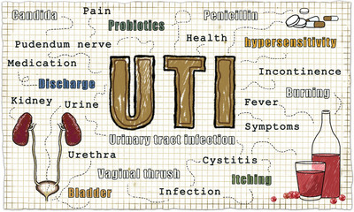 Urinary tract infection illustration