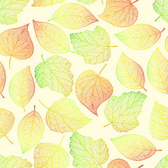 Vector seamless pattern. Openwork multi-colored autumn leaves in contrasting colors . Picture of falling leaves for decoration background on autumn theme.