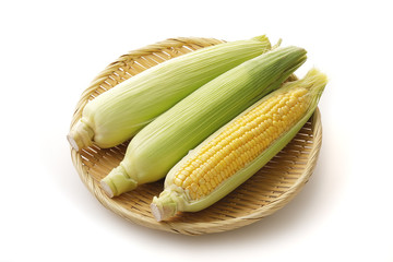 とうもろこし　Corn