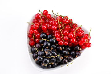 Red and black currants in ceramic bowl on white background