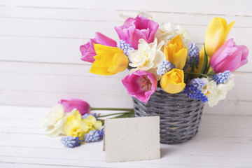 Pink, yellow  and white spring tulips  and daffodils flowers in grey bucket  and empty tag