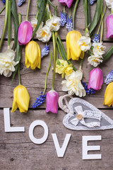 Word love, heart  and  bright spring tulips, narcissus, muscaries flowers