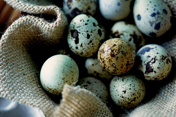 Quail eggs, photographed in a simple rustic style. Simple protein-rich foods.