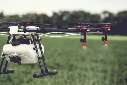 Closeup view of agriculture drone spraying water fertilizer on the green field. Drones spraying pesticides to grow potatoes.