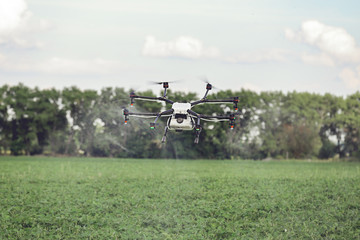 Fototapeta na wymiar Agriculture drone fly to sprayed fertilizer on the rice fields. Industrial agriculture and smart farming