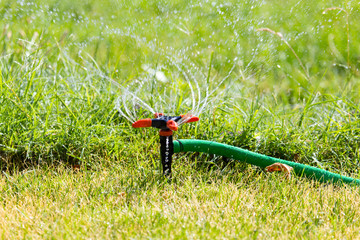 Splashing water on the lawn as a background