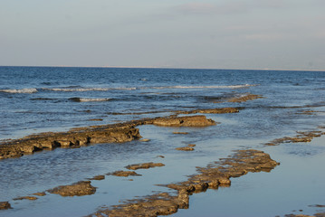 Birdwatching in Sardegna