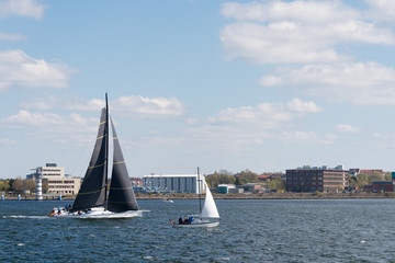 Rennsegelyacht in der Kieler Innenf&ouml;rde
