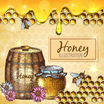 Colorful sketch illustration, set of honey, organic nature product. Vector