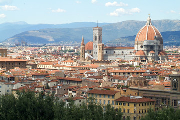 Fototapeta na wymiar Skyline of Florence, italy