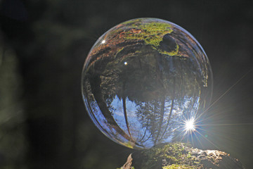 wald in kristallkugel, bern, schweiz 