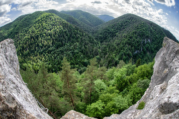 Forest in Slovak paradise