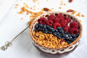 Bowl of homemade granola with yogurt, fresh berries and spoon on white background. Side view. Collection