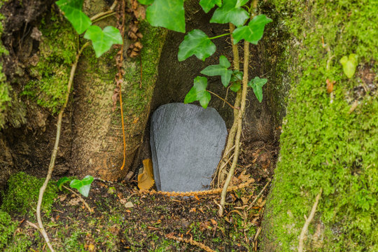 Geocaching Versteck im Wald unter Wurzel mit Täfelchen aus Schiefer - Geocaching Hiding in the forest under root with slate tablet