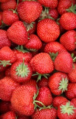 Erdbeeren