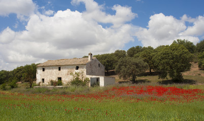 Derelict house ,Andalucia Spain