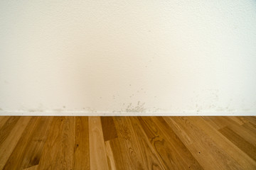 new and empty apartment with wood floor and white wall and a serious mildew and mold problem