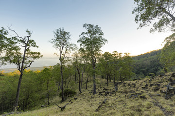 A path leading up to the summit of mount Egon just after sunrise in Flores, Indonesia.