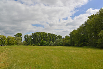 Obraz premium Rheinaue