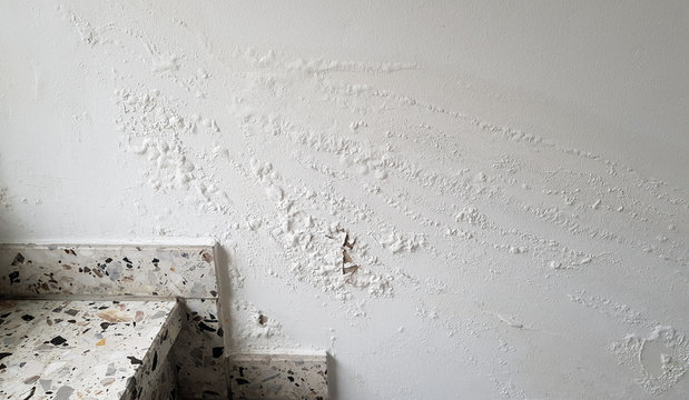 Feuchtigkeit Wand