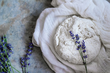 Fresh cooking homemade cottage cheese with lavender flowers in gauze textile over gray metal background. Top view. Rustic style, day light