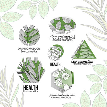 Natural, eco cosmetics logo set with hand drawn, sketch style leaves and flowers, vector illustration on white background. Round, hexagon and triangular logos with hand drawn leaves and flowers