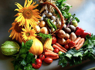 Different fruits of summer