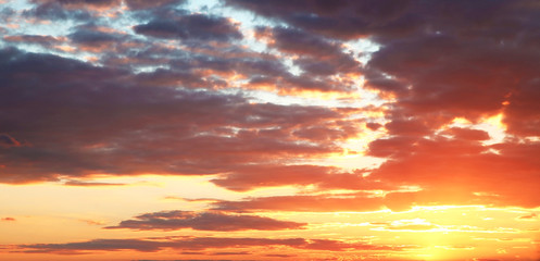 Fototapeta premium colorful purple sunset