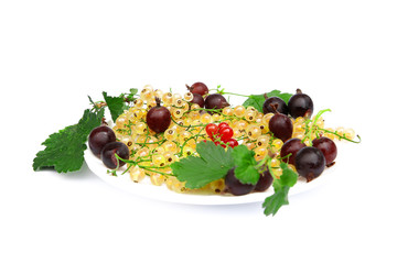 summer berry composition on a white background