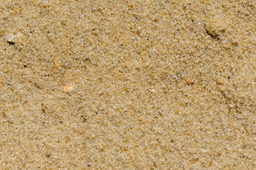 Background of the yellow sand