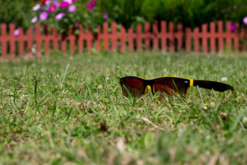 Spectacles on the lawn