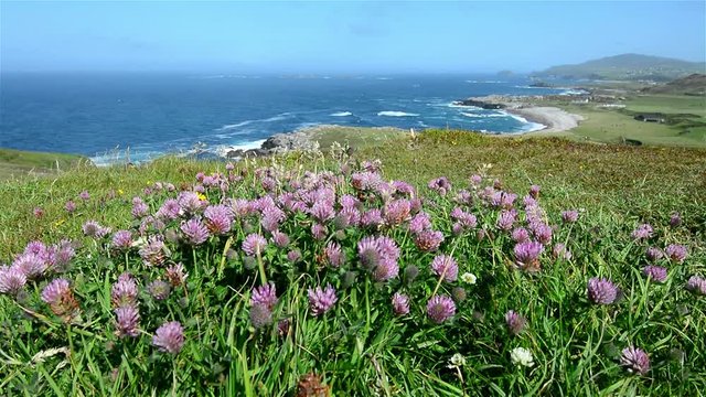 Landascapes of Ireland. Malin Head in Donegal