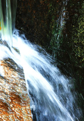 Water from the dam fall