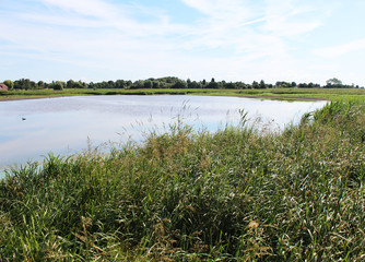 landscape Groene Jonker, Nieuwkoopse Plassen