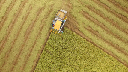 Fototapeta na wymiar Aerial view of combine on harvest field