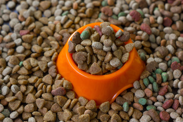 Orange plastic bowl filled with dry pet food surrounded by dry food for cat and dogs.