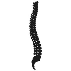 Spine Silhouette