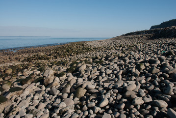 Obraz premium Stone Beach