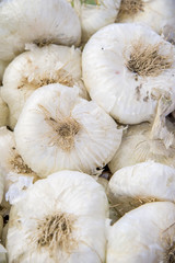 Italian Onions in Sicily