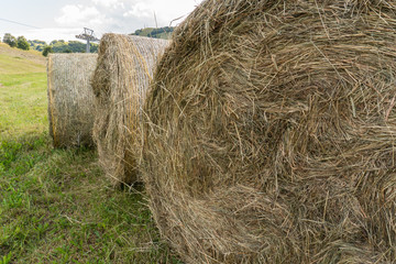 Hay Balls