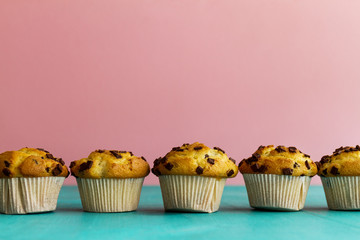 Many tasty homemade vanilla muffins with chocolate chunks on bright blue background.