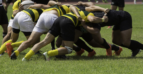 Playing with crowds during a rugby match - obrazy, fototapety, plakaty