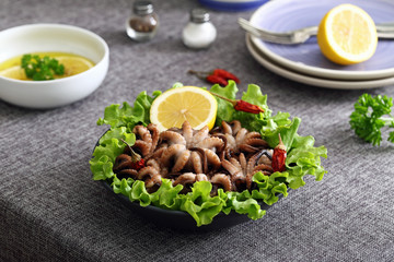 polpo o moscardini marinari su tavolo grigio